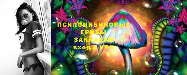 apvp Белоозёрский